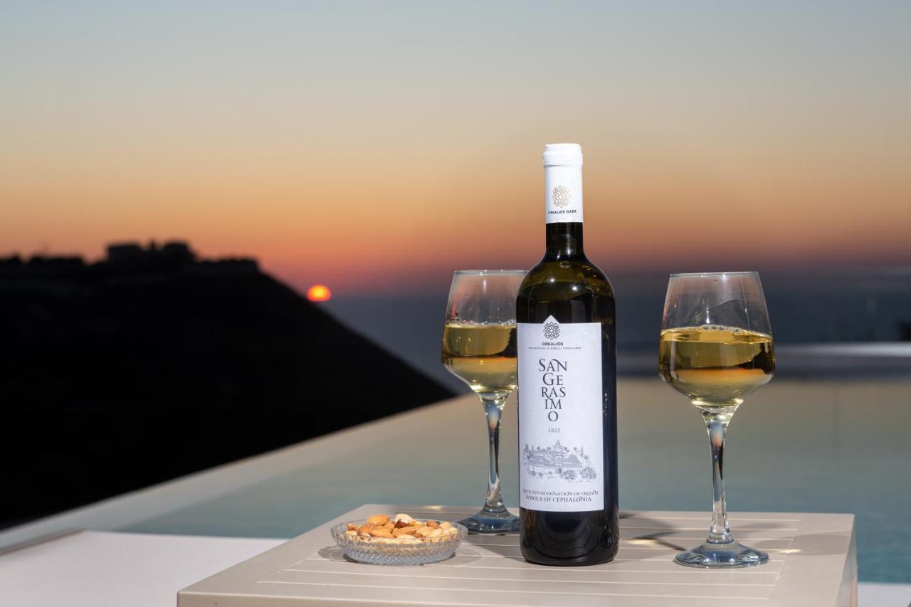 Sky View Suites Kefalonia Vovikes Екстер'єр фото